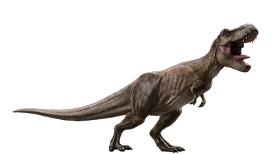 mosasaurus mattel liverpool