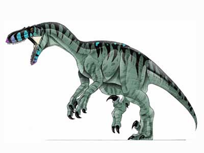 the utahraptor