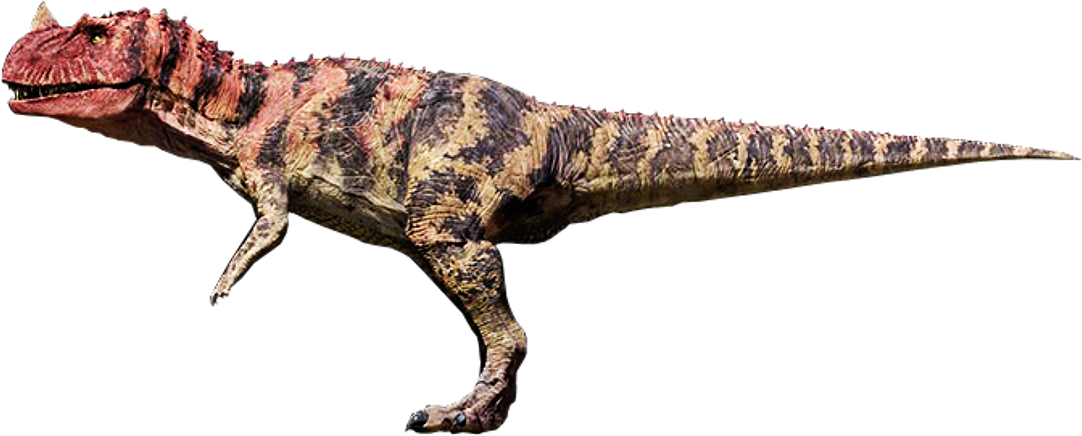 à¸œà¸¥à¸à¸²à¸£à¸„à¹‰à¸™à¸«à¸²à¸£à¸¹à¸›à¸ à¸²à¸žà¸ªà¸³à¸«à¸£à¸±à¸š Ceratosaurus