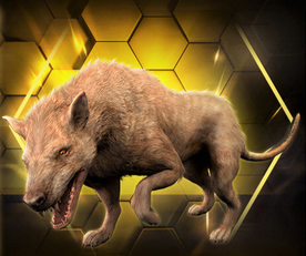 Hyaenodon Pack News