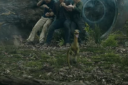 compsognathus jurassic world fallen kingdom