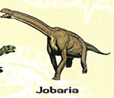 Jobaria