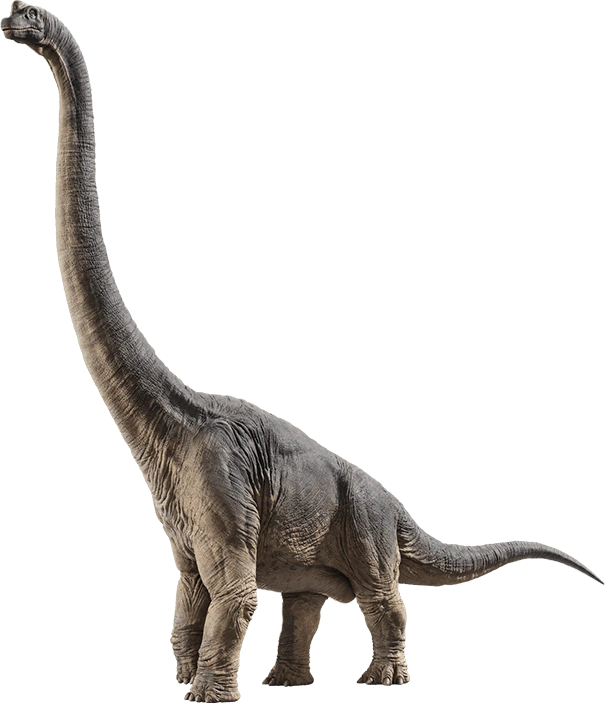 Brachiosaurus JPWiki Fandom