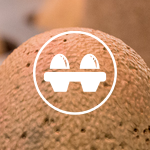 Egg Spinner icon