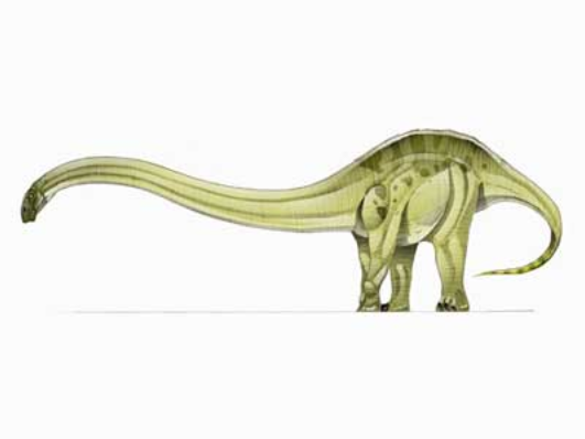 omeisaurus