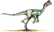 Chirostenotes