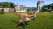 Gallimimus jwe