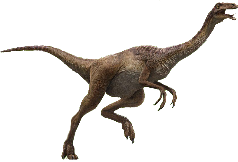 Imagen Gallimimus Jwfkpng Jurassic Park Wiki Fandom Powered By Wikia 