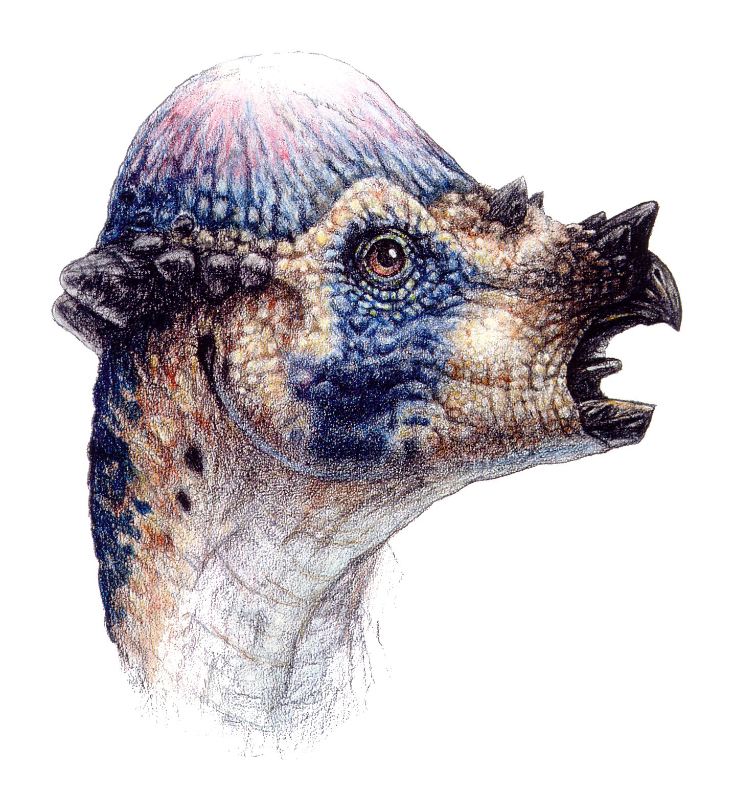 Pachycephalosaurus Jurassic Park Wiki Fandom Powered By Wikia 1422