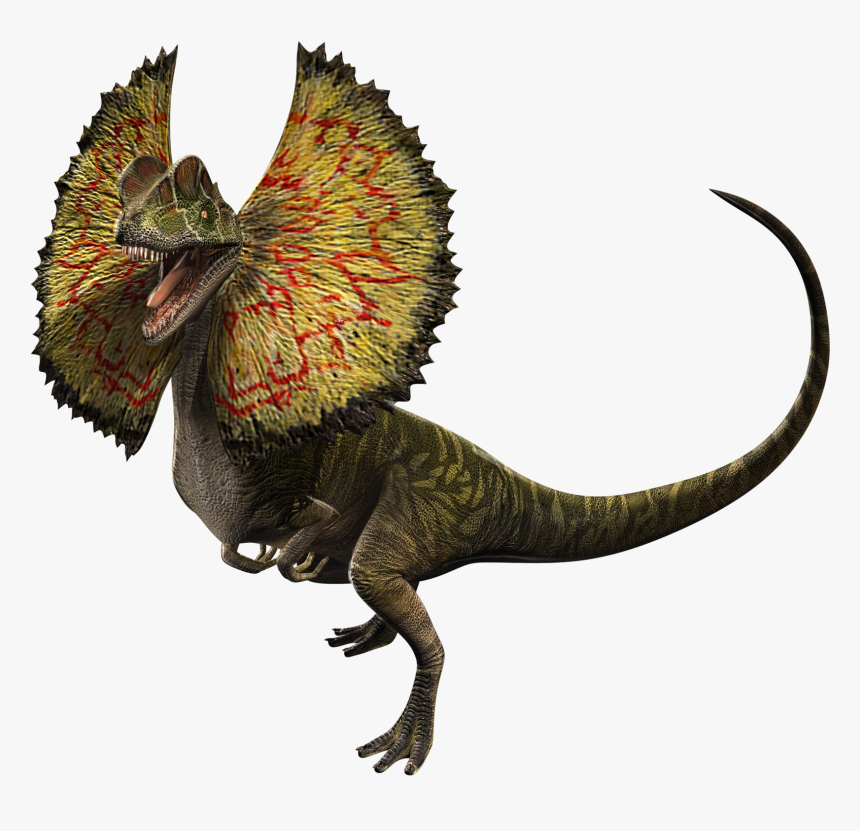 Dilophosaurus Wikia Jurassic Park Fandom