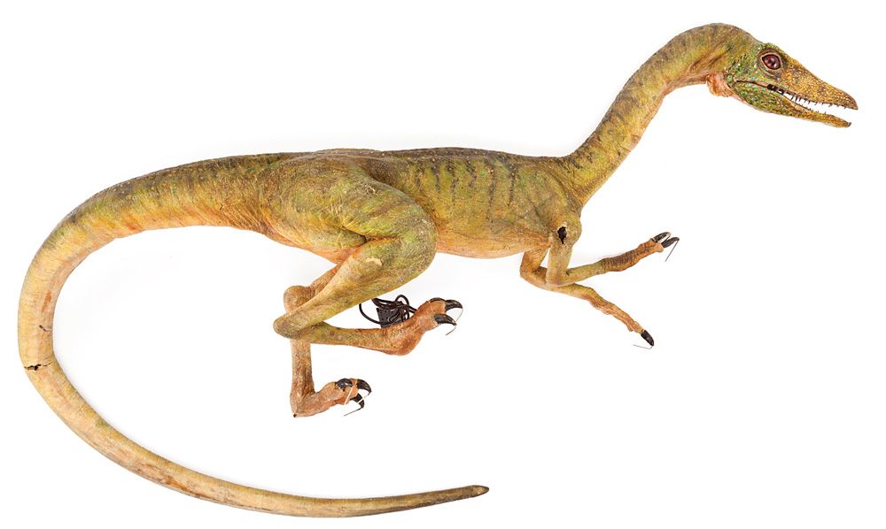 Compsognathus Jurassic Park Wiki Fandom Powered By Wikia 