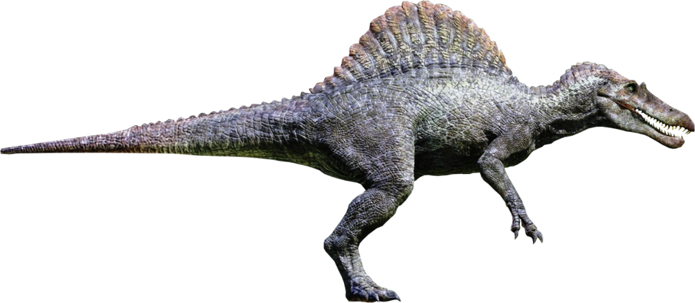 Spinosaurus | JP-Wiki | Fandom
