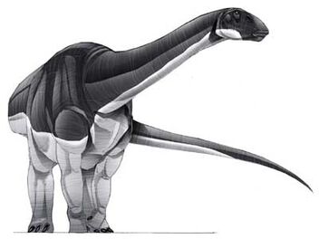 Abrosaurus