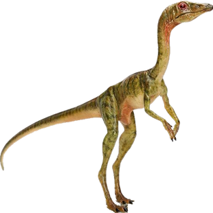 Compsognathus | Jurassic Park wiki | FANDOM powered by Wikia
