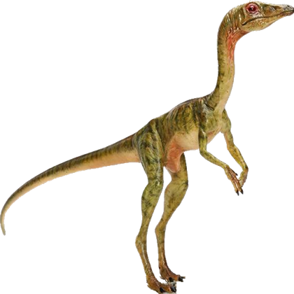 à¸œà¸¥à¸à¸²à¸£à¸„à¹‰à¸™à¸«à¸²à¸£à¸¹à¸›à¸ à¸²à¸žà¸ªà¸³à¸«à¸£à¸±à¸š Compsognathus