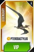 Pteradactylus