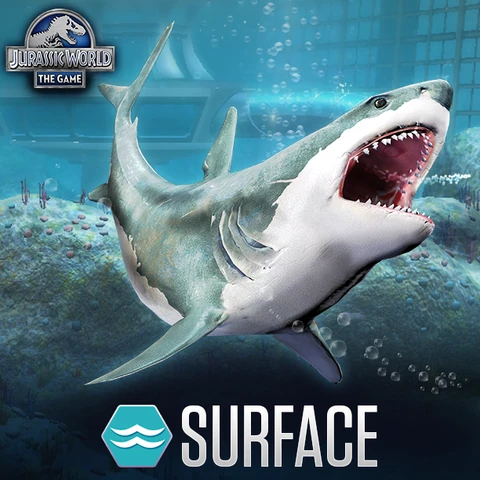 Imagen - Megalodon-0.png | Jurassic Park Wiki | FANDOM powered by Wikia