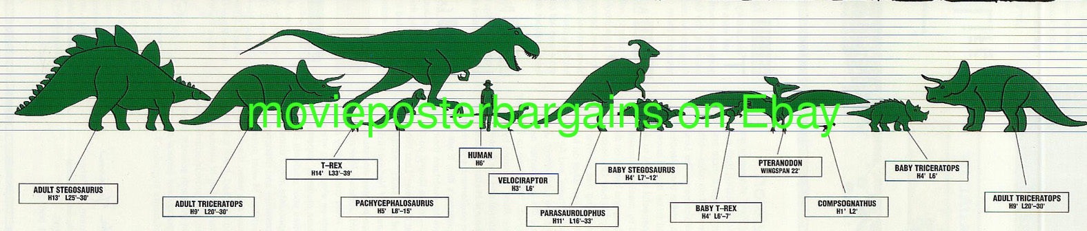 Jurassic World Fallen Kingdom Size Chart