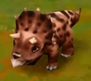 Triceratops (Baby) (Lvl. 21-24).jpg (15 KB) Triceratops (Baby) (Lvl. 21-24)