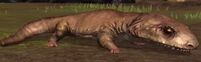 Ichthyostega