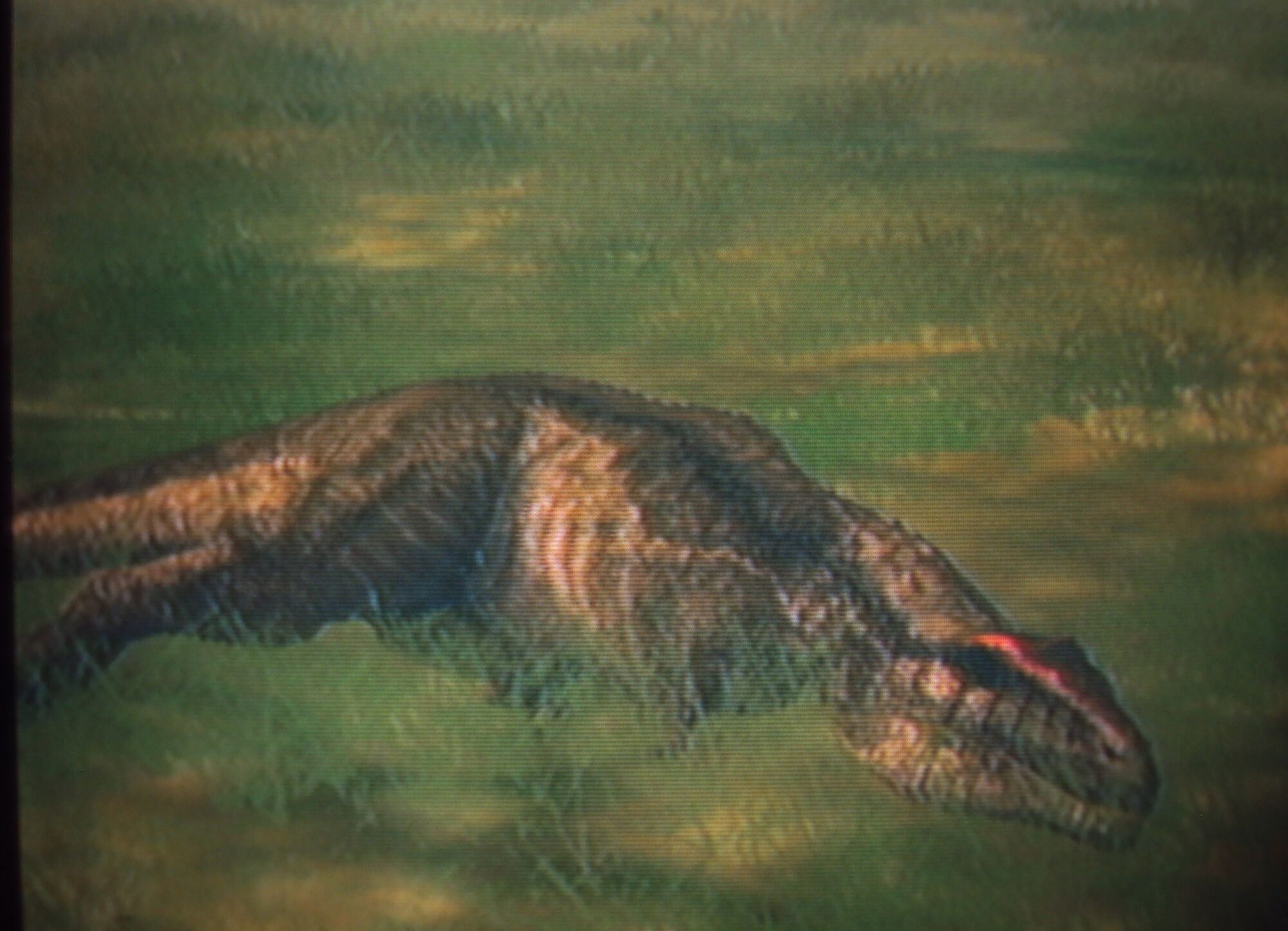 jurassic world evolution carcharodontosaurus