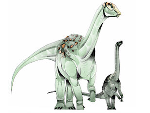 Ampelosaurus