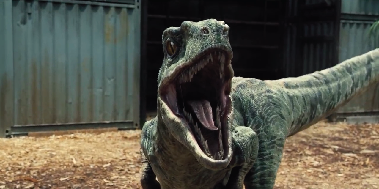 velociraptor kingdom