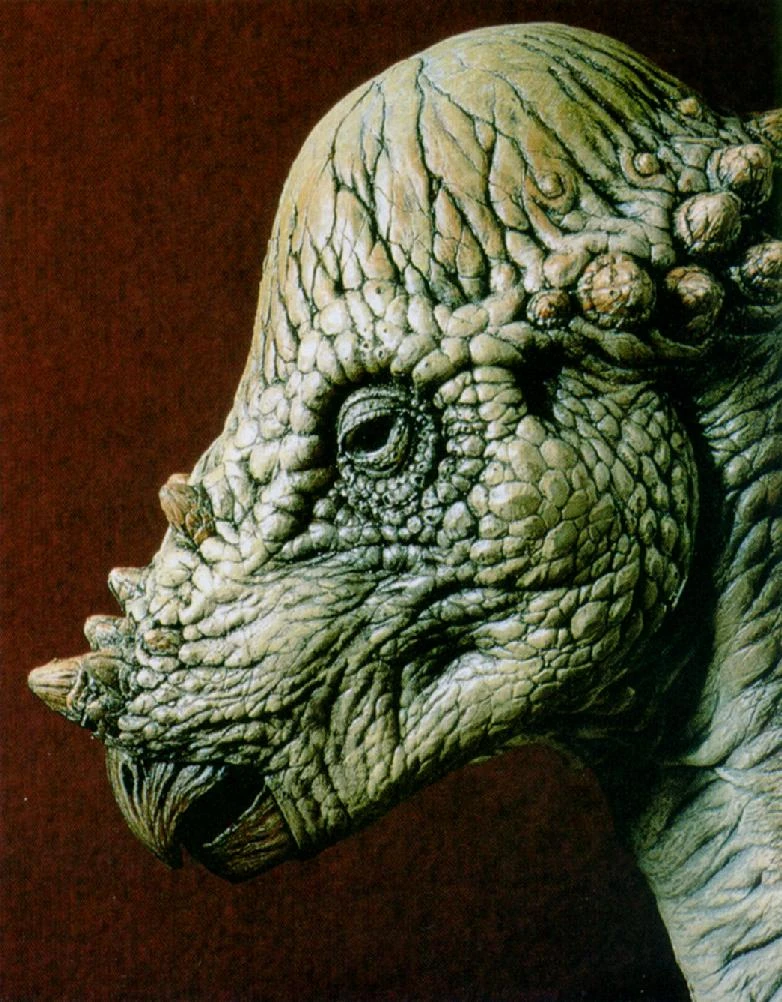 Image Pachycephalosaurus J01DinosaurFace.jpg Jurassic Park wiki FANDOM powered by Wikia