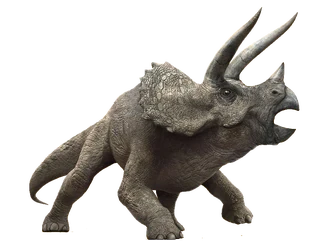 310?cb=20180427210959