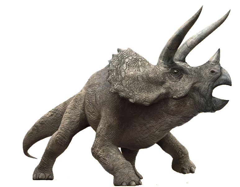 Triceratops Jurassic Park Wiki Fandom Powered By Wikia 