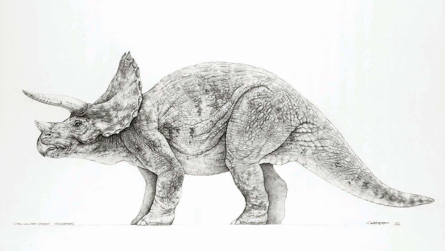 Image Triceratops Concept Art Jurassic Park Wiki Fandom Powered By Wikia 