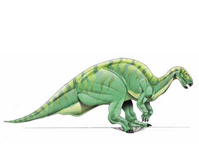 camptosaurus and stegosaurus