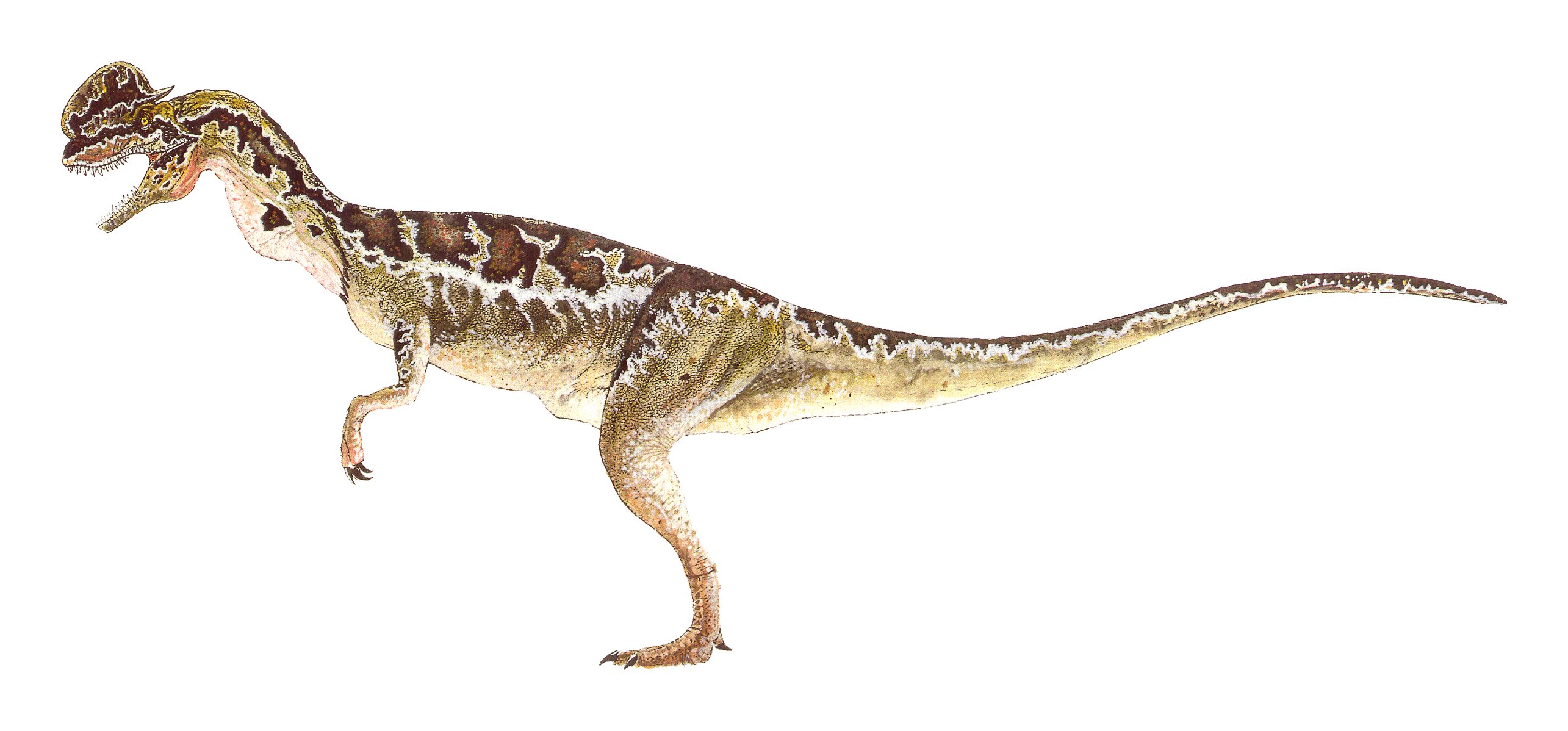 dilophosaurus michael crichton