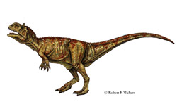 Majungotholus