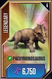Pachyrhinosaurus