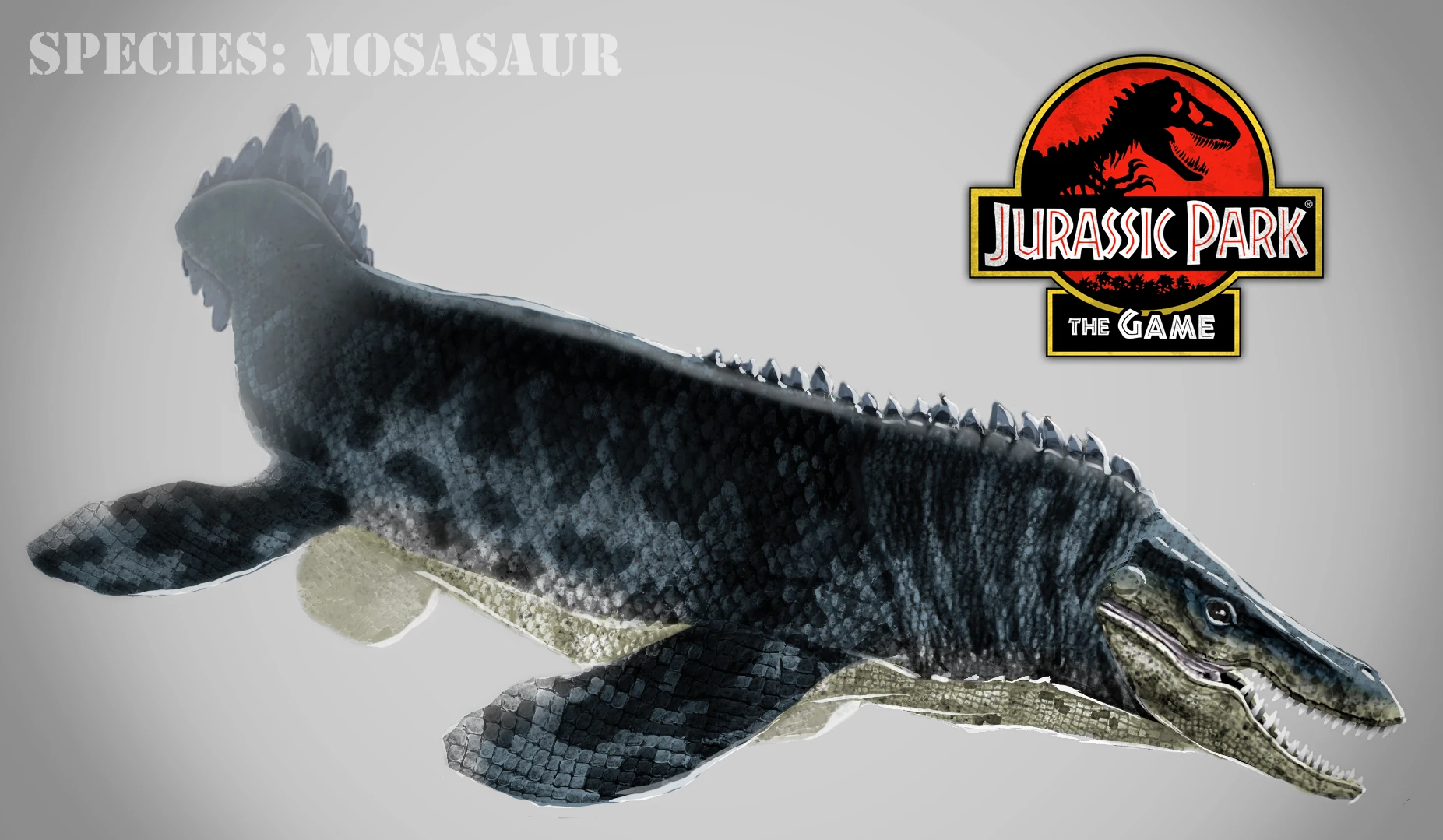 mosasaur plush