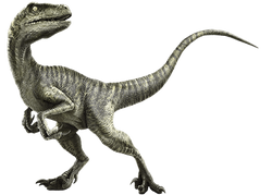 velociraptor english