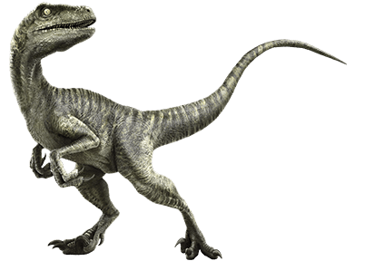 Velociraptor | Jurassic Park wiki | FANDOM powered by Wikia