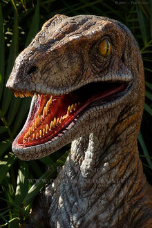 Velociraptor 6001