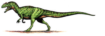 Allosaurus