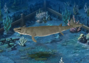 Basilosaurus lev10