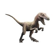  Utahraptor  JW TG Jurassic  Park wiki FANDOM powered by 