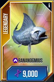Bananogmius-1