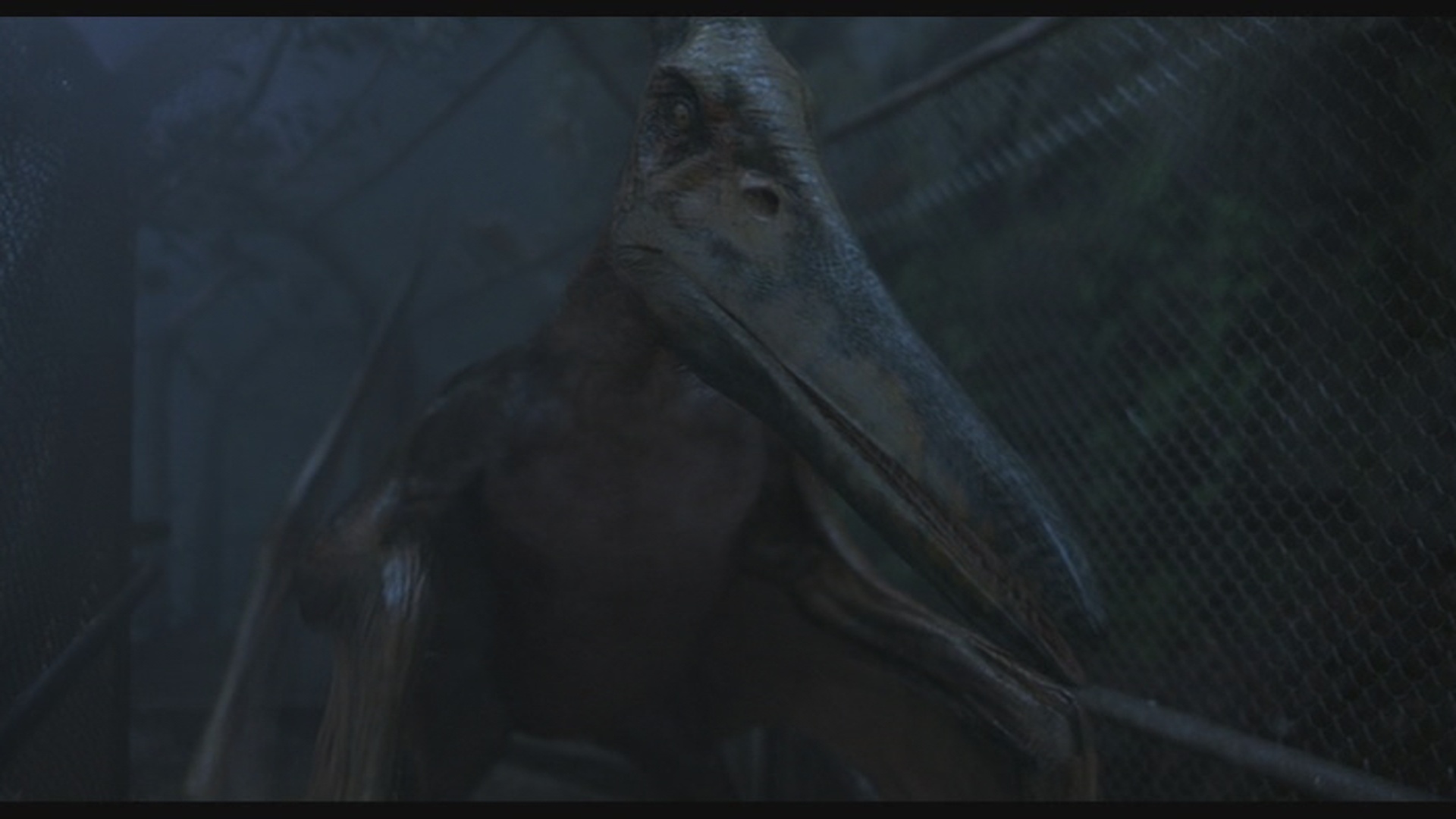 Pteranodonte, Jurassic Park Wiki