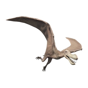Image - Coloborhynchus-jurassic-world-the-game.jpeg | Jurassic Park ...