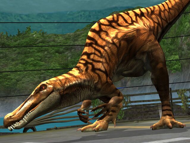 Image Suchomimus Lvl 30jpeg Jurassic Park Wiki Fandom Powered By Wikia 