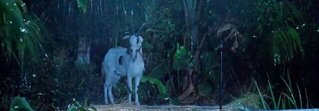 Imagen Goats On Film Jurassic Park Jurassic Park Wiki Fandom Powered By Wikia