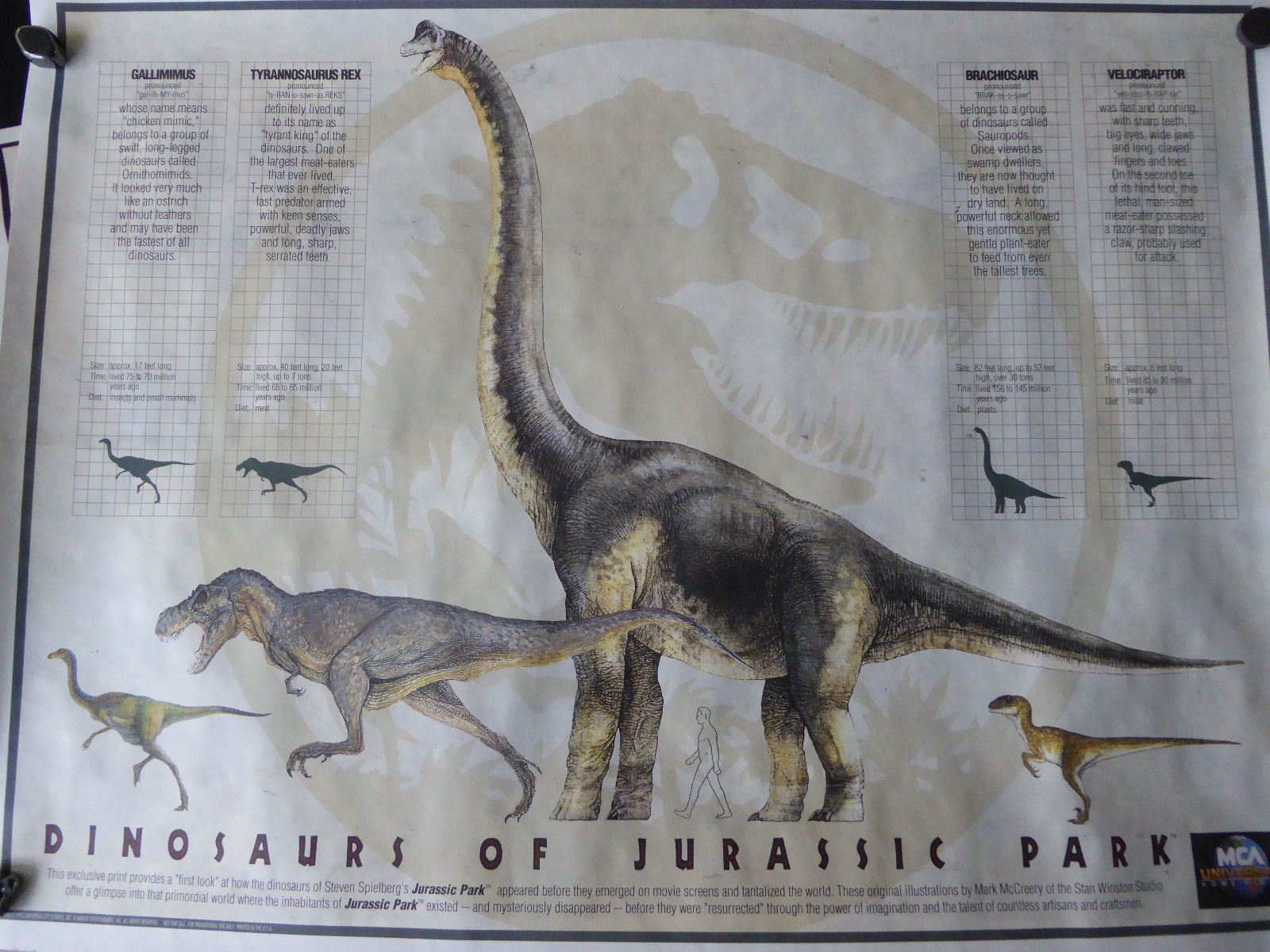 Image - JP1 Size Chart.jpg | Jurassic Park wiki | FANDOM powered by Wikia
