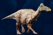triceratops with multiple horns