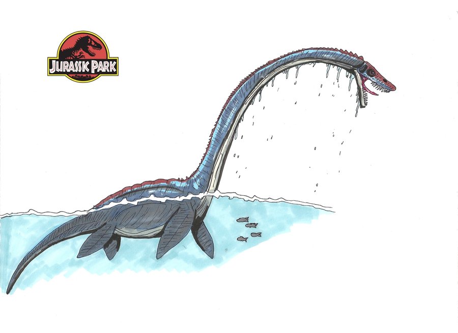 image jurassic park elasmosaurus by hellraptor d4gyps4 jpg elasmosaurus size